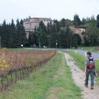 Hiker on the Via Francigena between Col di Val d'Elsa and Monteriggioni | Kate Baker