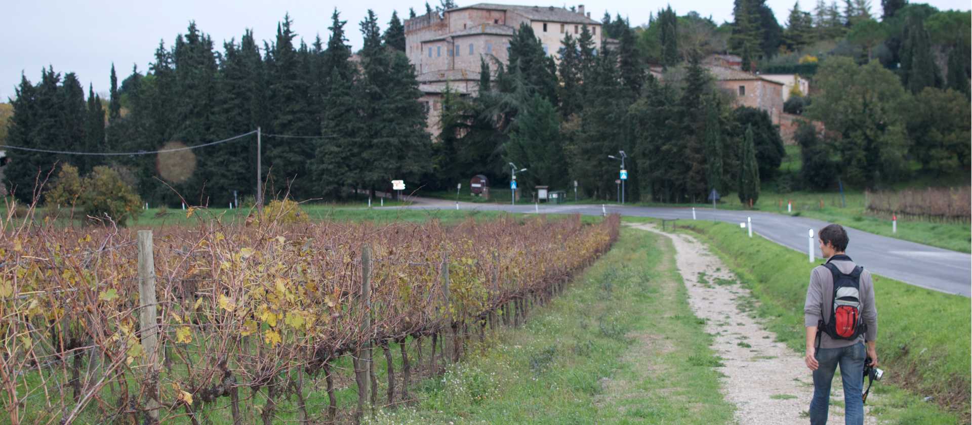 Hiker on the Via Francigena between Col di Val d'Elsa and Monteriggioni | Kate Baker