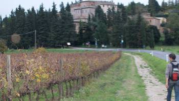 Hiker on the Via Francigena between Col di Val d'Elsa and Monteriggioni