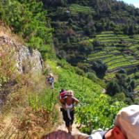 Hikers ascending to Volastra in the Cinque Terre | Phil Wyndham