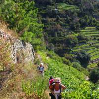 Hikers ascending to Volastra in the Cinque Terre | Phil Wyndham