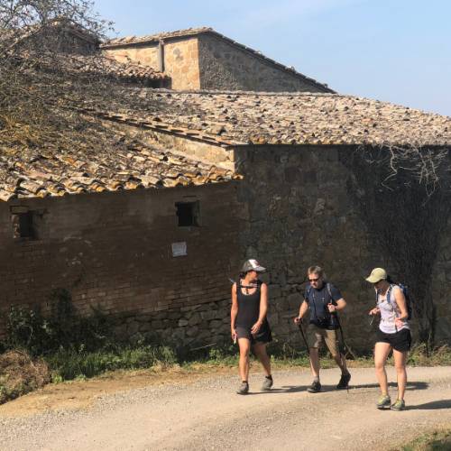 Hikers asending the hill to Montalcino