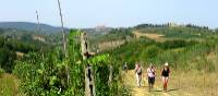 On the Via Francigena, San Gimignano in the distance