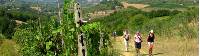 On the Via Francigena, San Gimignano in the distance