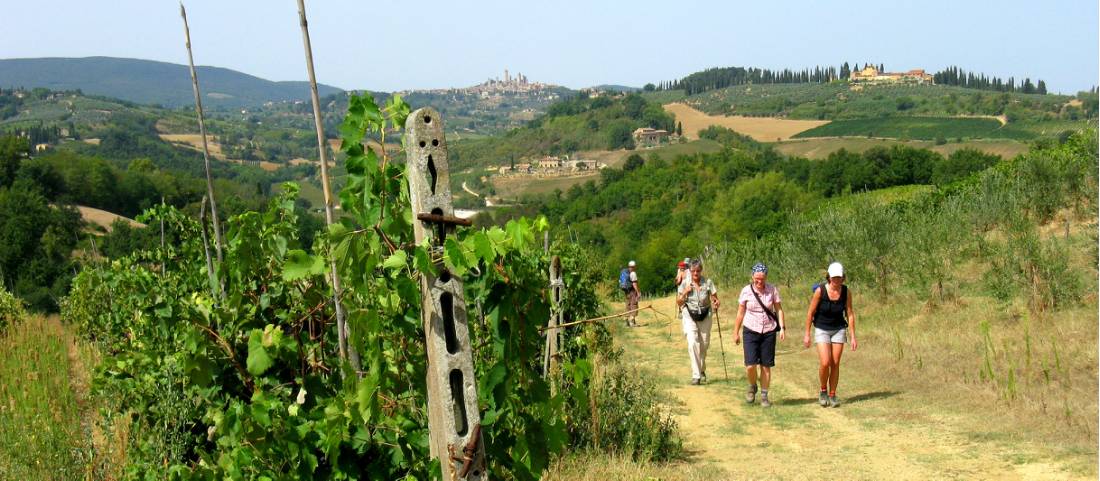 On the Via Francigena, San Gimignano in the distance