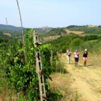 On the Via Francigena, San Gimignano in the distance