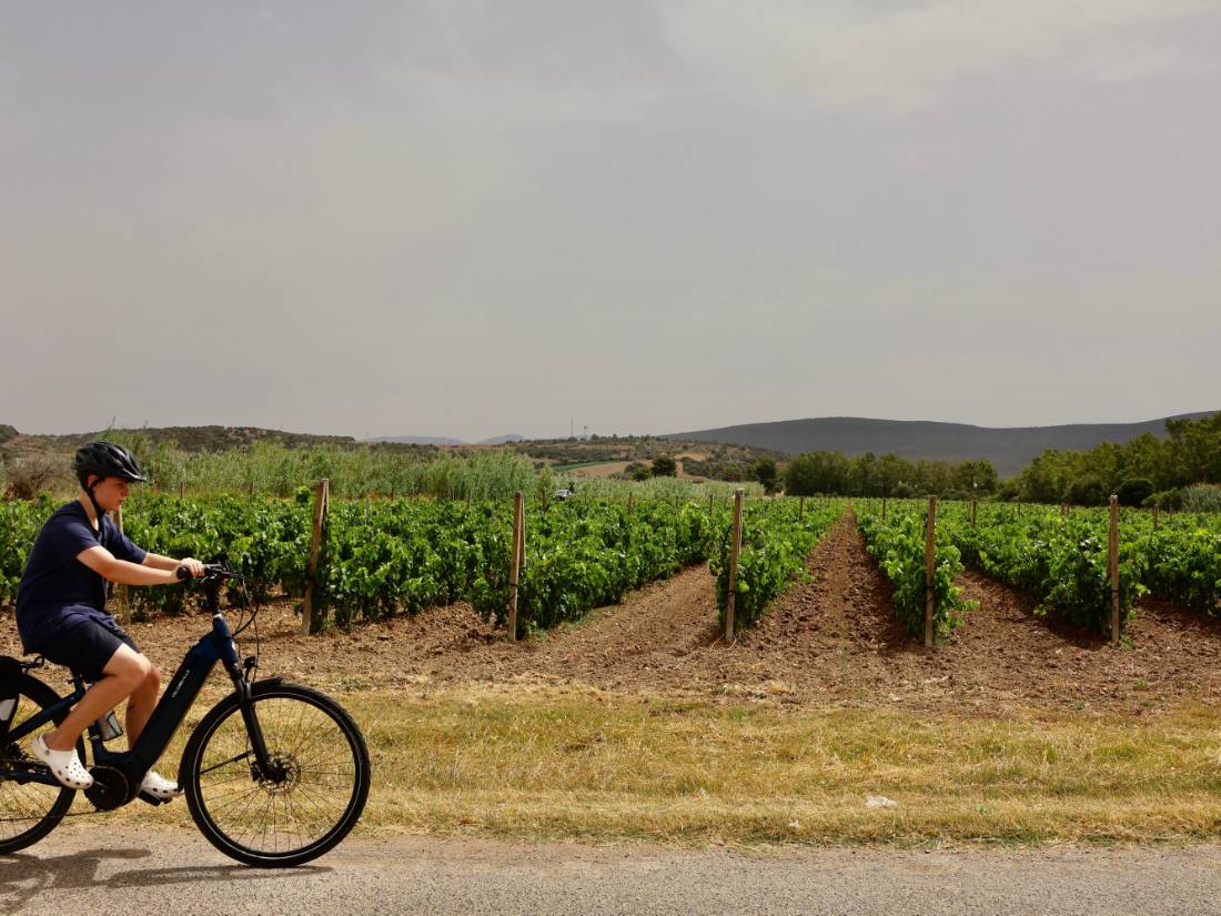 Cycling by Sardinia's pretty vineyards |  Kirstie Bedford