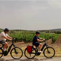 Cycling by Sardinia's pretty vineyards | Kirstie Bedford
