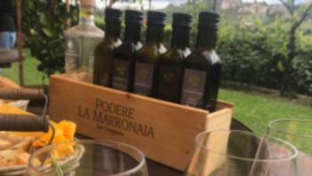 IMG_1365,Allie Peden Sampling olive oils and wines in the picturesque vineyards of Italy