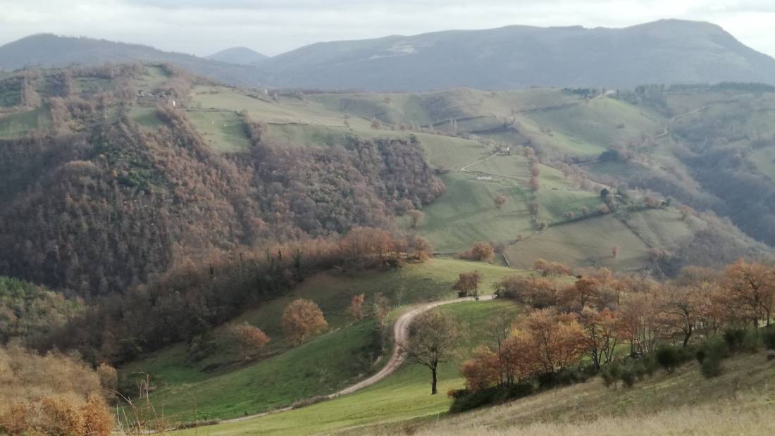 The rolling landscapes of Umbria are a feature of the St Francis Way camino route