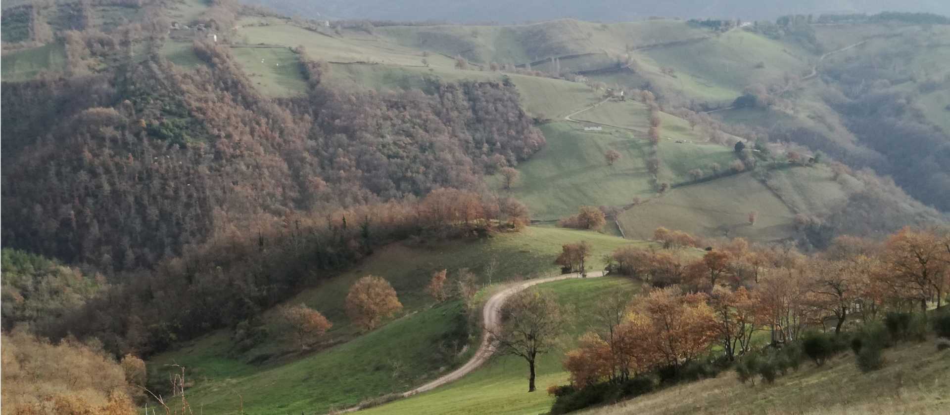 The rolling landscapes of Umbria are a feature of the St Francis Way camino route