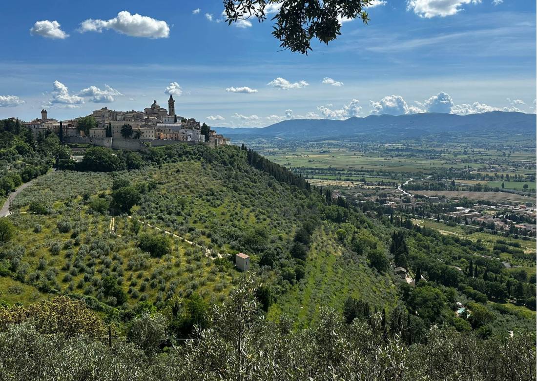 Spectacular views on the St Francis Way |  <i>Katharine McLennan</i>