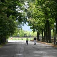Cyclists enjoying a quiet road on the Via Francigena