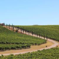 Classic Tuscan landscapes on the Via Francigena near Florence