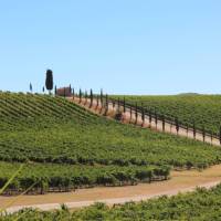Classic Tuscan landscapes on the Via Francigena near Florence