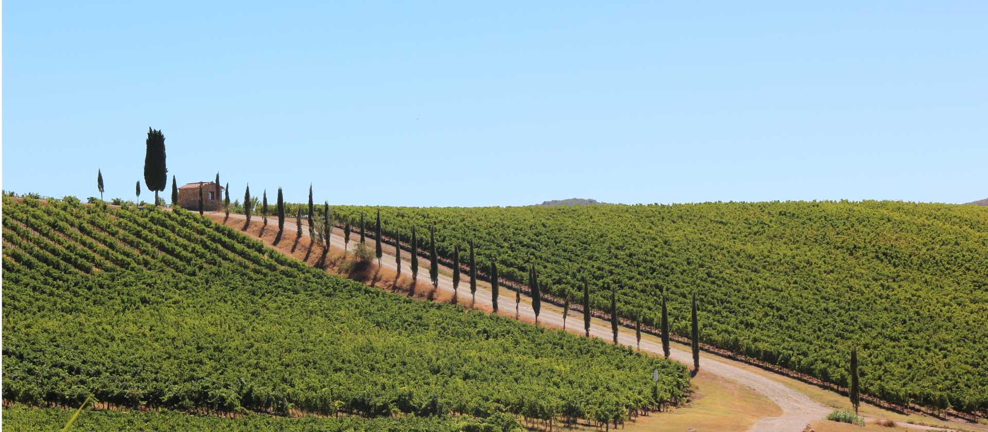 Classic Tuscan landscapes on the Via Francigena near Florence