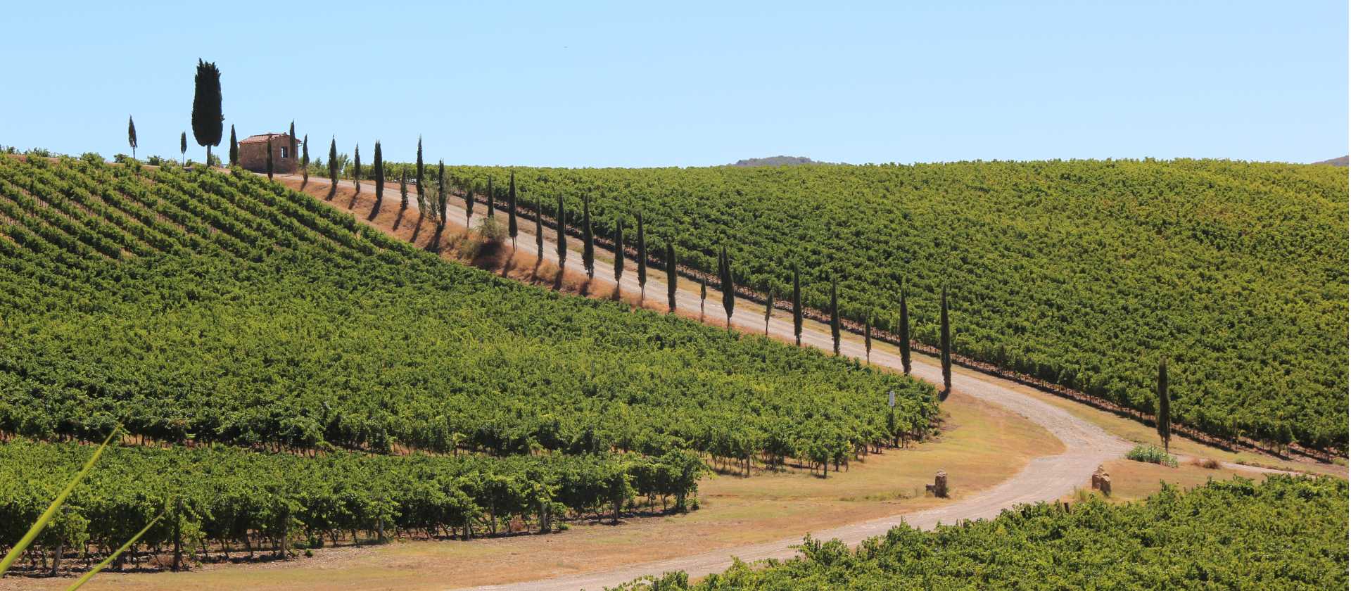 Classic Tuscan landscapes on the Via Francigena near Florence