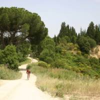 Cycling through the beautiful Val d'Orcia region of Tuscany