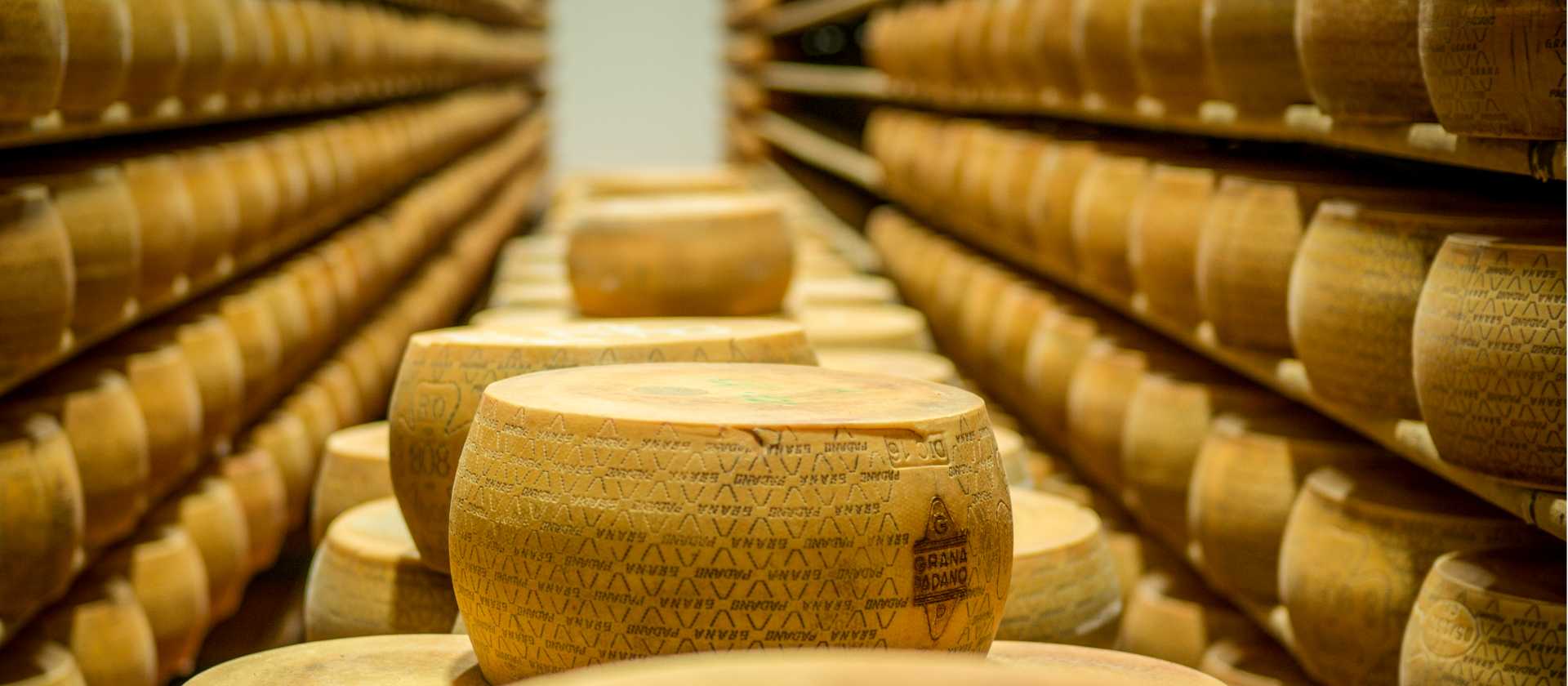 Grana Padano cheese factory in the Po Valley