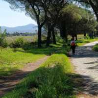The route of the Via Appia as it makes its way from Rome