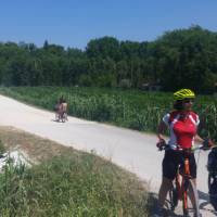 Cycling on Lido in Venice | Dana Garofani