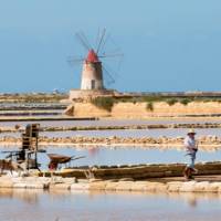 Discover the salt fields of Marsala on a bike holiday