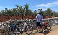 Cycling by Puglia's olive trees |  Tali Emdin