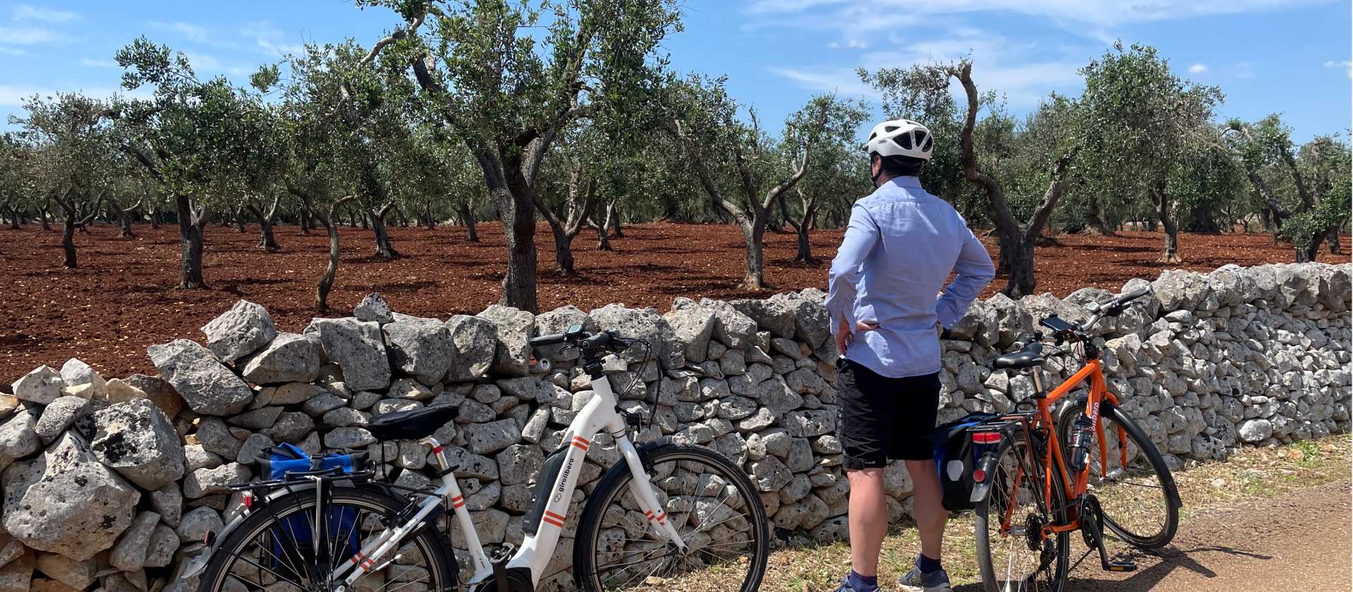 Cycling by Puglia's olive trees | Tali Emdin