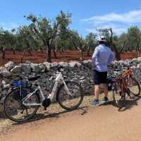 Cycling by Puglia's olive trees | Tali Emdin