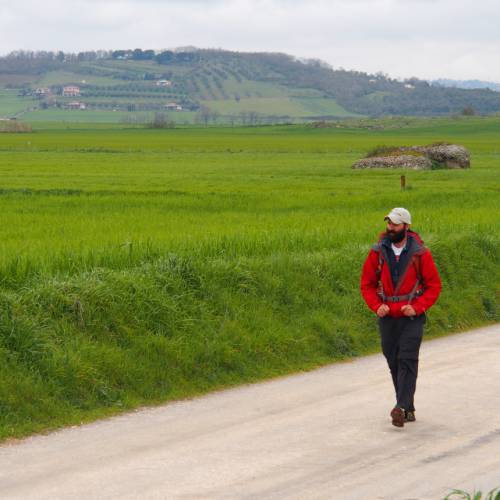 Walking along the 'white roads' of the Via Francigena