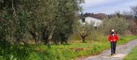 Walking along an original section of the Via Cassia near Montefiasconi | Brad Atwal