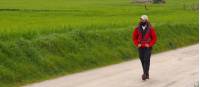 Walking along the 'white roads' of the Via Francigena |  <i>Brad Atwal</i>