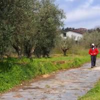 Walking along an original section of the Via Cassia near Montefiasconi | Brad Atwal