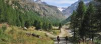 Explore the Gran Paradiso National Park on foot | Gino Cianci