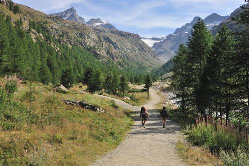 Explore the Gran Paradiso National Park on foot&#160;-&#160;<i>Photo:&#160;Gino Cianci</i>
