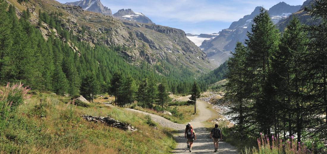 Explore the Gran Paradiso National Park on foot |  <i>Gino Cianci</i>