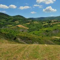 Landscapes near Pavia | Gino Cianci