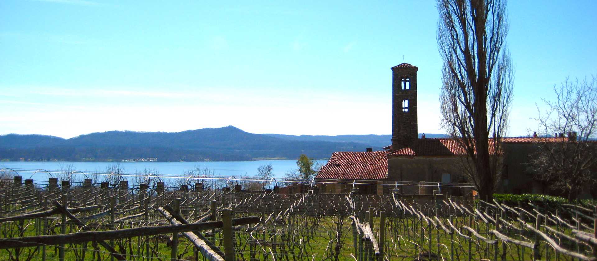 Piedmont is renowned for its wine