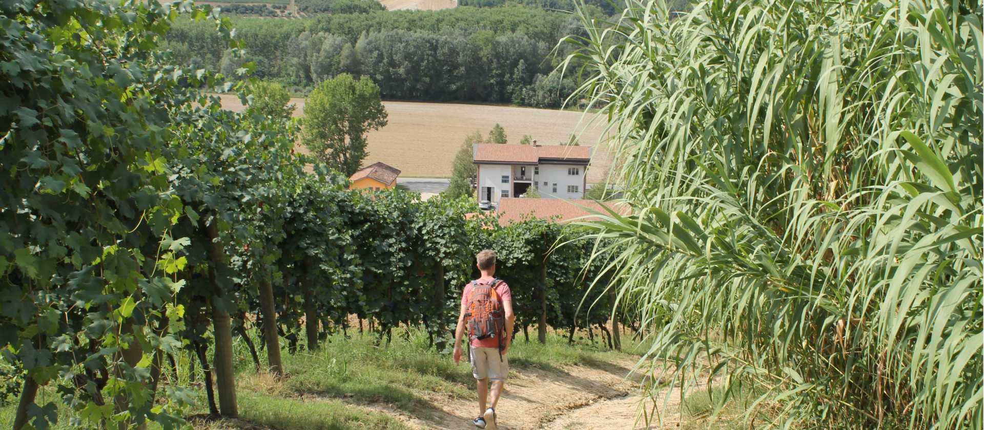 Walking towards a village in Piedmont | Jaclyn Lofts