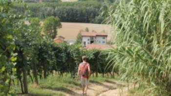 Walking towards a village in Piedmont