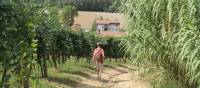 Walking towards a village in Piedmont | Jaclyn Lofts