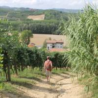 Walking towards a village in Piedmont | Jaclyn Lofts