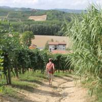 Walking towards a village in Piedmont | Jaclyn Lofts