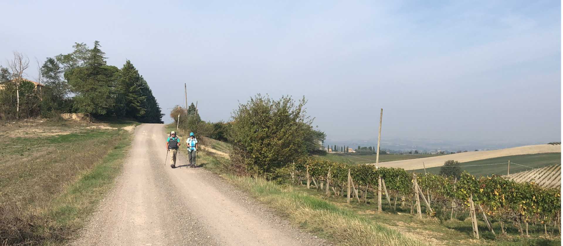 Road to Montalcino | Kate Baker