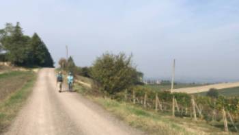 Road to Montalcino,Kate Baker Road to Montalcino