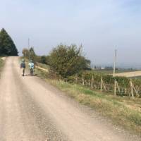 Road to Montalcino | Kate Baker