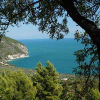 Olive groves by the sea in Salento, Itlay | Moniek58