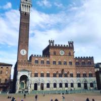 Inspiring medieval architecture in Siena's piazza | Allie Peden