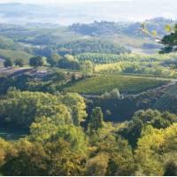 The rolling hills of Tuscany, Italy | Chris Viney