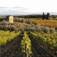 Beautiful Tuscan countryside